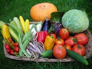 Terapia orticolturale