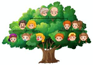 Family tree